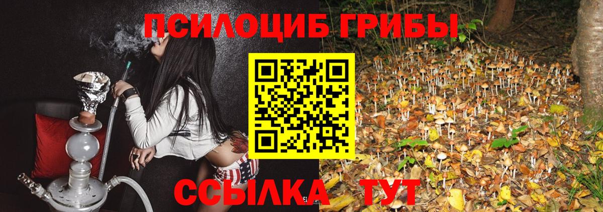 Псилоцибиновые грибы Psilocybine cubensis Азов