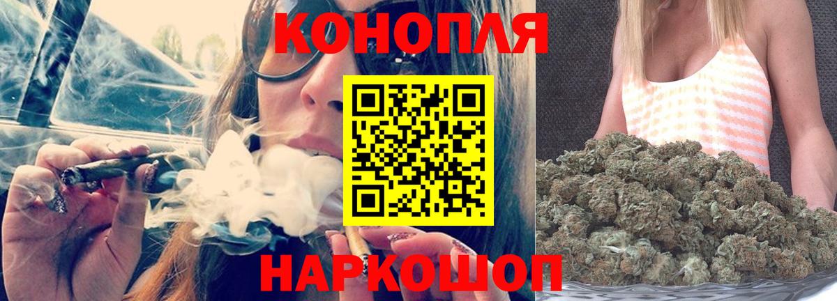 Конопля планчик  Шишки марихуана план  Азов  Вход с VPN  Конопля White Widow  Конопля OG Kush 